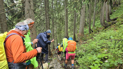 2025-07-24-AV-Miesing-44