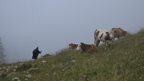 2025-07-24-AV-Miesing-49