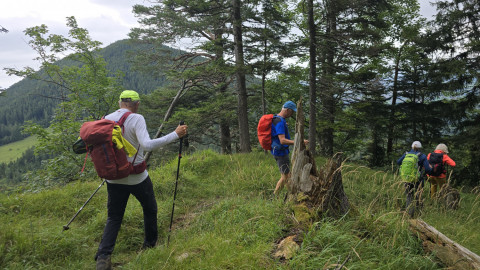 2025-08-21-AV-Farrenpoint-Schrofen-62