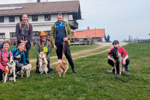 1. Hundewanderung des DAV Wasserburg- rund um den Heuberg am 13.04.2025