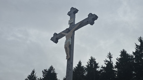 2025-12-11-AV-Baumgartenschneid-11