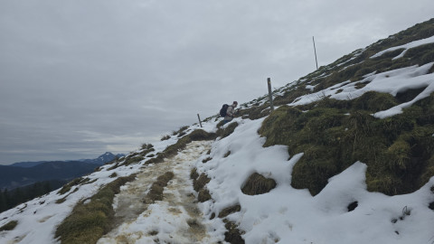 2025-12-11-AV-Baumgartenschneid-13