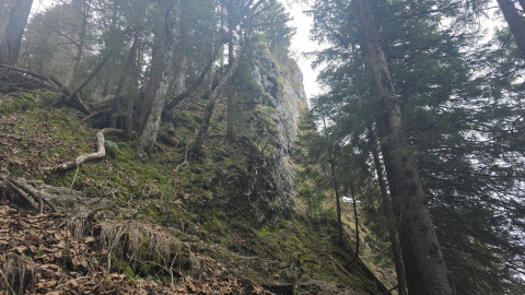 2025-12-11-AV-Baumgartenschneid-20