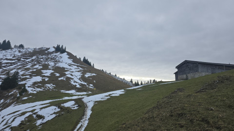 2025-12-11-AV-Baumgartenschneid-22