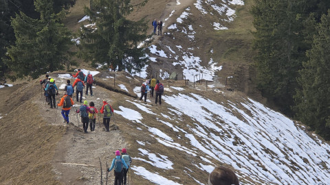 2025-12-11-AV-Baumgartenschneid-32