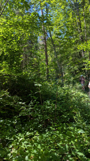 PXL_20260710_081356898