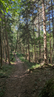 PXL_20260710_103142287