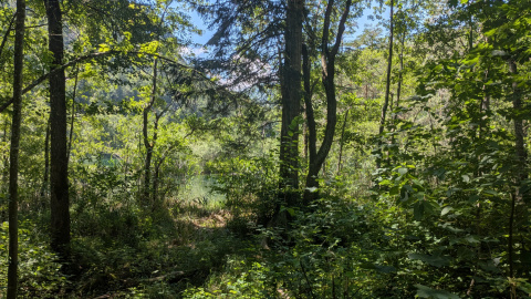 PXL_20260710_111905574