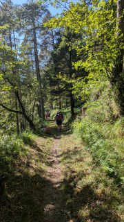 PXL_20260710_135344782