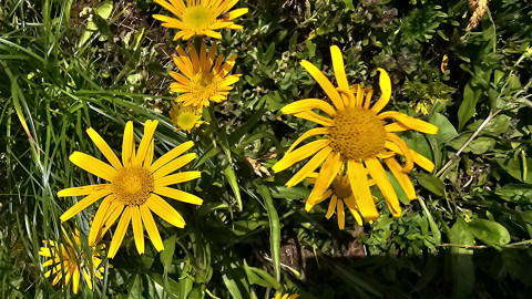 2025-07-10-Benediktenwand-45