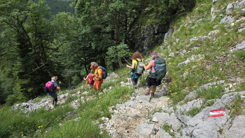 2025-07-10-Benediktenwand-71