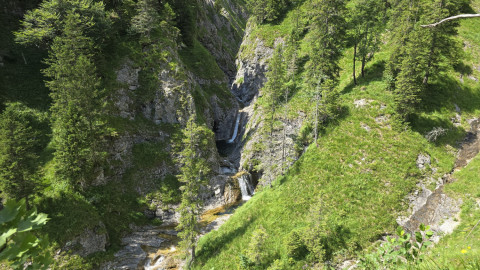 2025-07-10-Benediktenwand-81