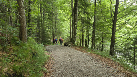 2025-07-10-Benediktenwand-91