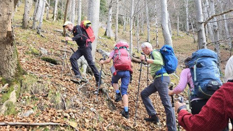 2025-11-13-AV-BodenschneidRosskopf-10