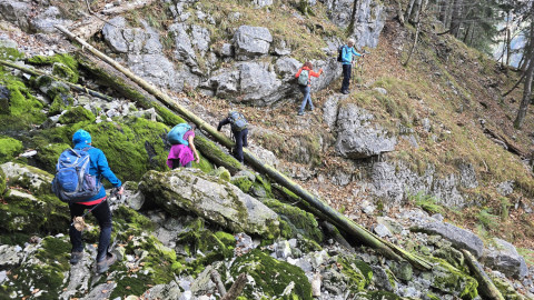2025-11-13-AV-BodenschneidRosskopf-14