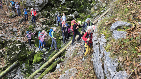 2025-11-13-AV-BodenschneidRosskopf-15