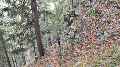 2025-11-13-AV-BodenschneidRosskopf-17