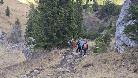 2025-11-13-AV-BodenschneidRosskopf-43