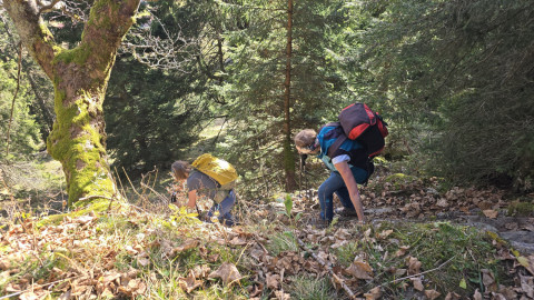 2025-11-13-AV-BodenschneidRosskopf-50