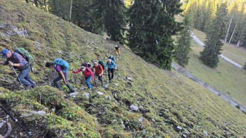 2025-11-13-AV-BodenschneidRosskopf-57