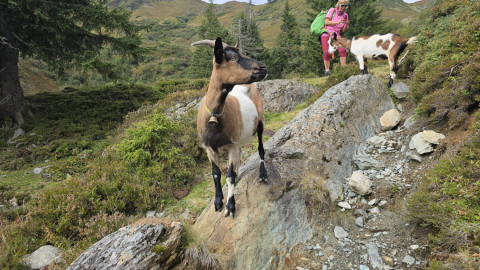 2025-09-11-AV-Brechhorn-16