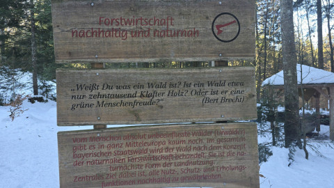 2026-01-16-AV-Frillensee-10