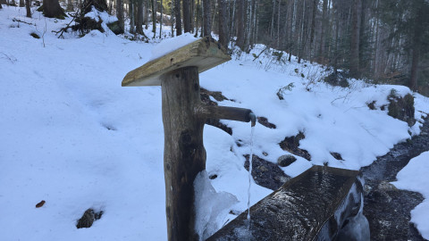 2026-01-16-AV-Frillensee-15