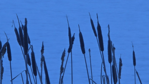 2026-01-16-AV-Frillensee-20