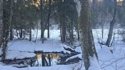 2026-01-16-AV-Frillensee-22