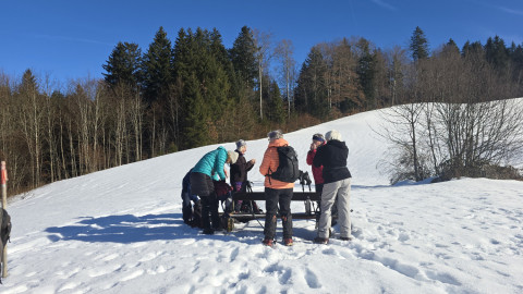 2026-01-16-AV-Frillensee-28