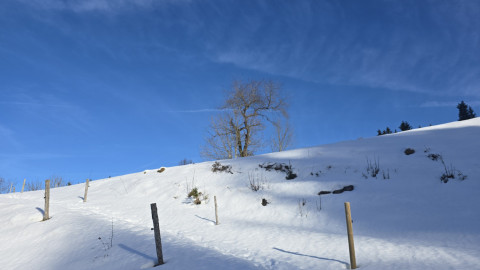 2026-01-16-AV-Frillensee-38