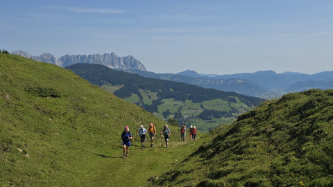 2025-08-07-Gaisberg-Gampenkogel-13