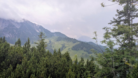 PXL_20250711_104415913