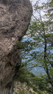 PXL_20250711_110157417