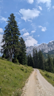 PXL_20250711_130816340