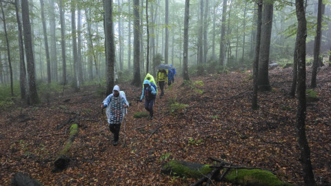 2025-10-05-AV-Spiegelau-Lusen-38