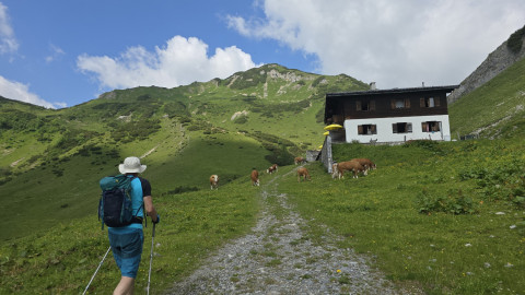 2025-06-20-AV-Hahnenkampel-Jamsenjochhuette-2