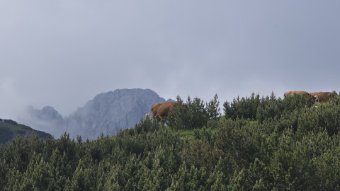 2025-06-20-AV-Hahnenkampel-Jamsenjochhuette-4