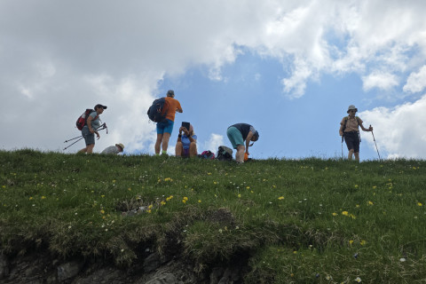 Hahnekampel  Jamsenjochhütte 20.06.2025