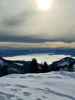 PHOTO-2025-12-05-20-21-38