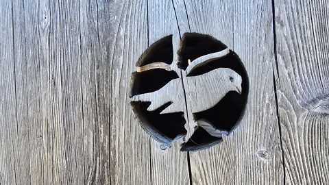 2026.01.22-Do-Hofbauernalm-9