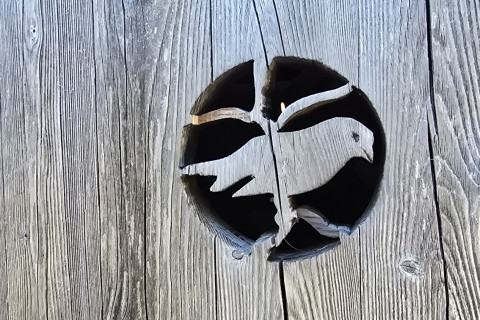 Hofbauernalm 22.01.2026