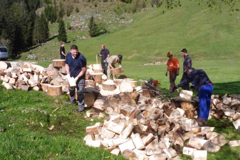 Holz- und Putzaktion 2025