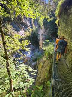 IMG-20260814-WA0007