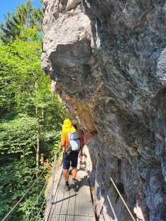 IMG-20260814-WA0008