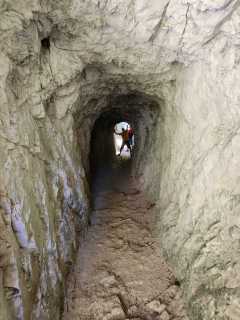 IMG-20260814-WA0009
