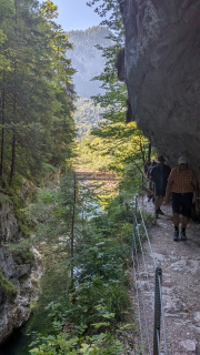 PXL_20260814_081901834.MP_