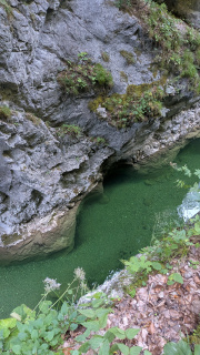 PXL_20260814_081925108