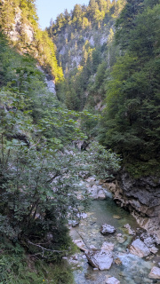 PXL_20260814_082321156