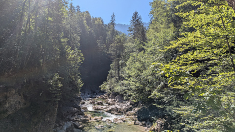 PXL_20260814_083956807